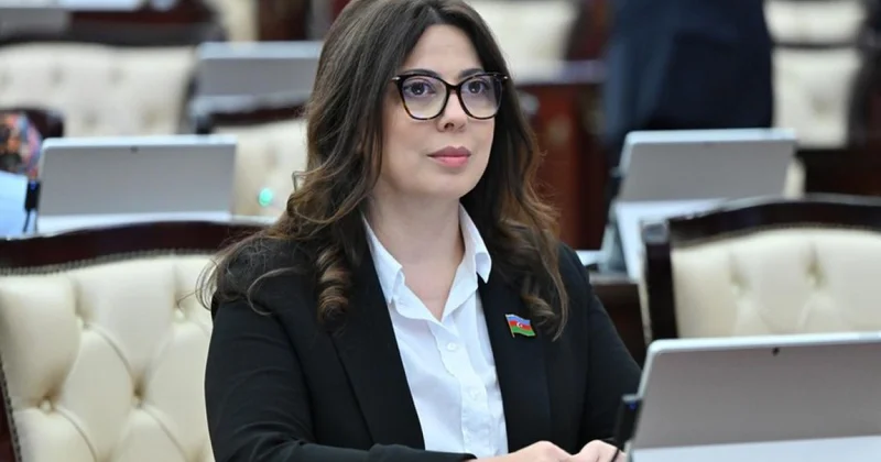 Deputat: Rusiyanın addımları Azərbaycana qarşı düşmənçiliyin təzahürləridir