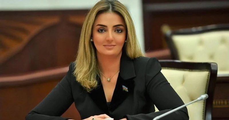 Bu gün sülh günüdür? ŞƏRH