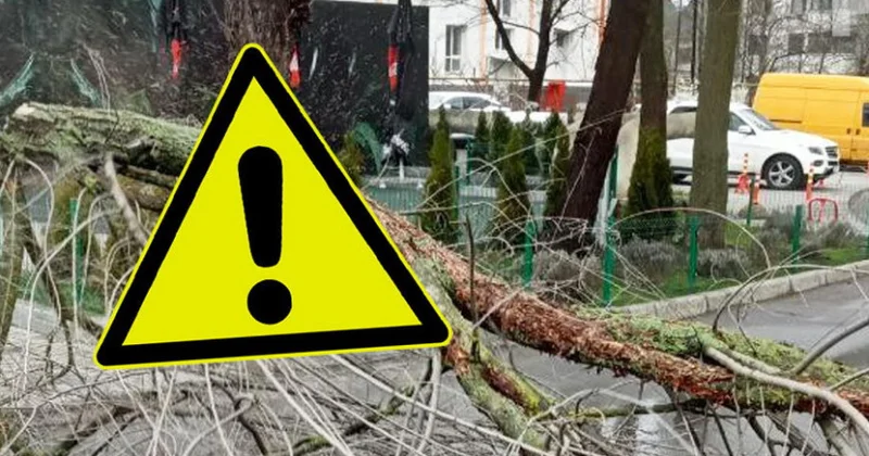 Синоптики объявили жёлтое предупреждение из за сильного ветра