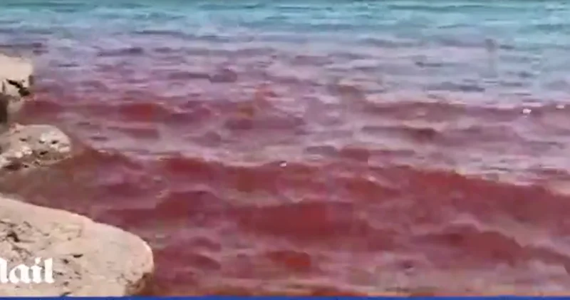 Галилейское море в Израиле напугало людей ВИДЕО