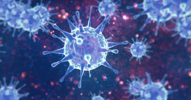 Milyonlarla insana təsir edən, amma heç kimin danışmadığı virus: HTLV 1 nədir?
