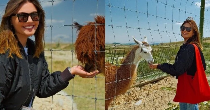 Van Dammın azərbaycanlı gəlini bu rayona getdi FOTO