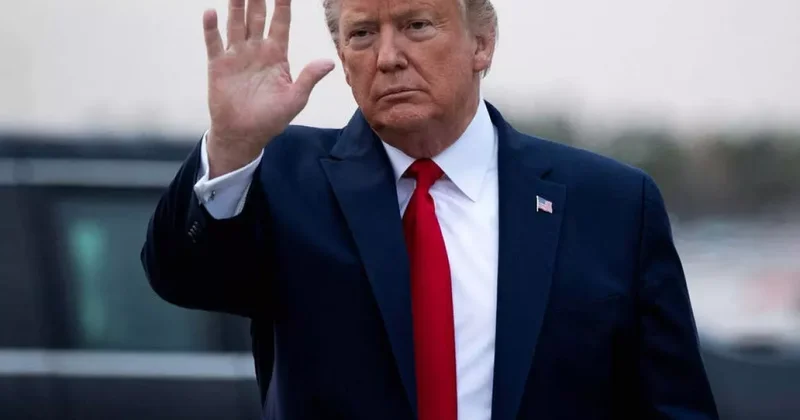 Трамп о дедлайне для Путина
