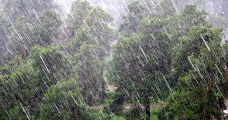 Temperatur düşəcək, leysan yağacaq Xəbərdarlıq