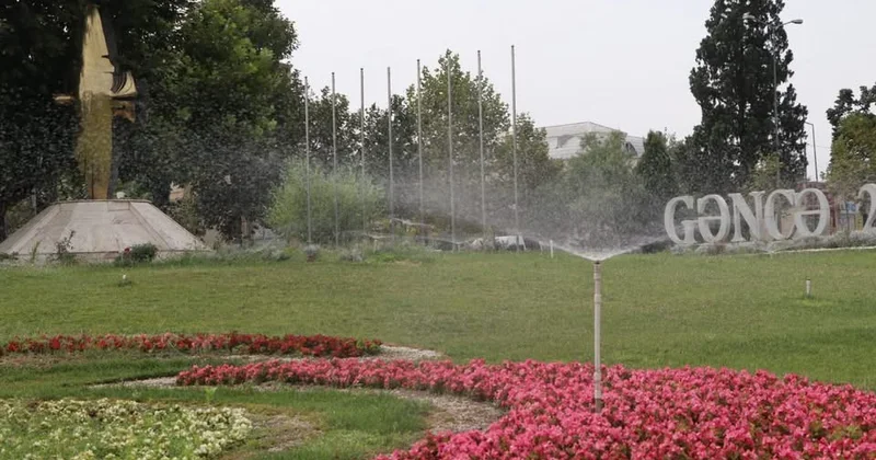 Gəncədə yaşıllıqların suvarılması gücləndirilib