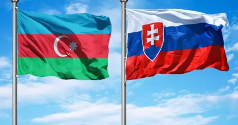 Азербайджан и Словакия проведут политические консультации