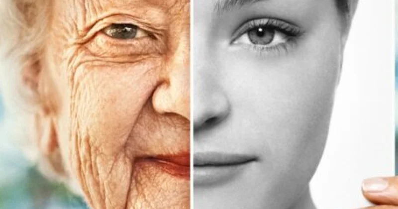 Yüz yaşını keçən insanların qan analizləri yeni ipuçları verir ARAŞDIRMA