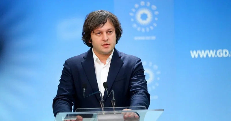 Кобахидзе: Грузия доказала в Гааге и Страсбурге, что не совершала военных преступлений