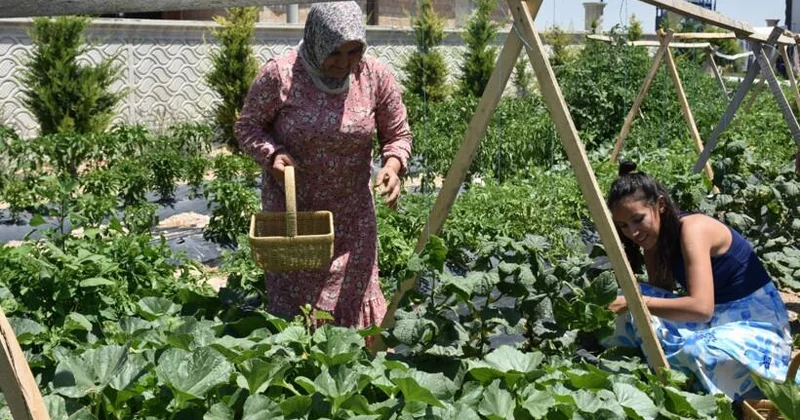 Bu oteldə qalanlar pul ödəmir, bağ işlərinə kömək edirlər (Foto)