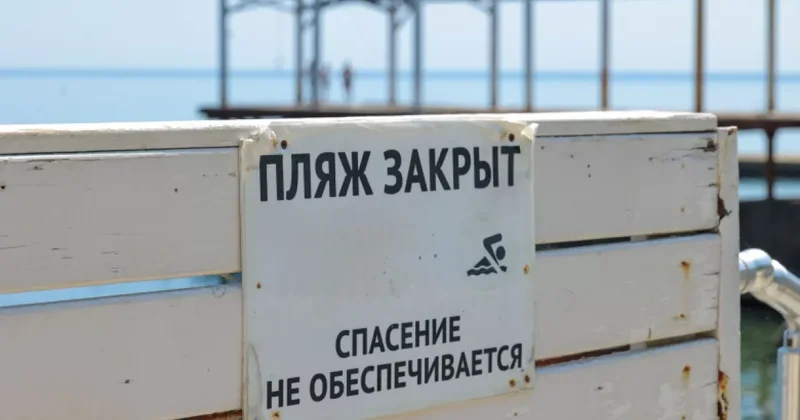 Дым над Геленджиком: что происходит? ФОТО