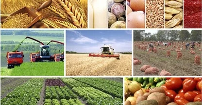 “Aqrar sektorun inkişafı üçün müasir texnologiyanın tətbiqi vacibdir“ DEPUTAT