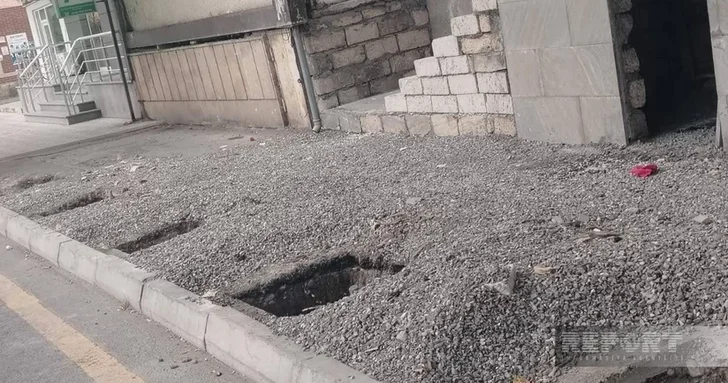 В Хачмазе расследуют незаконное уничтожение многолетних деревьев