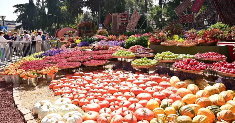 Gürcüstanda Tbilisoba bayramı bu il sentyabrda keçiriləcək