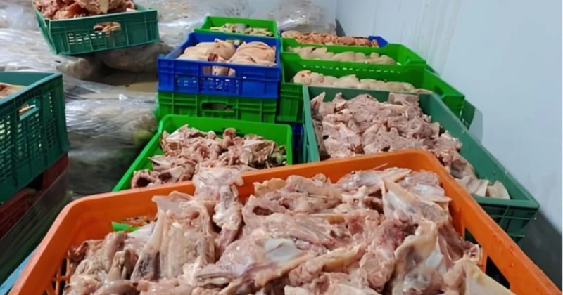 Buzovnada insanlara satılan dönər at ətindən imiş: FQ Foodex MMC İFŞA EDİLDİ