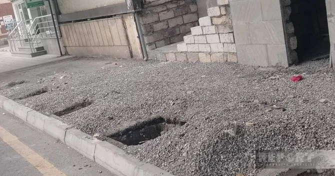 Xaçmazda şam və qovaq ağacları məhv edilib, araşdırma aparılır