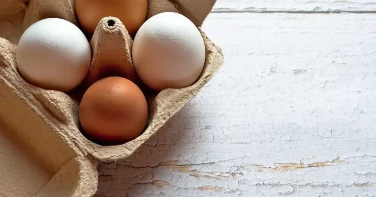 Doğrudanmı, qəhvəyi toyuq yumurtaları ağlardan daha faydalıdır?