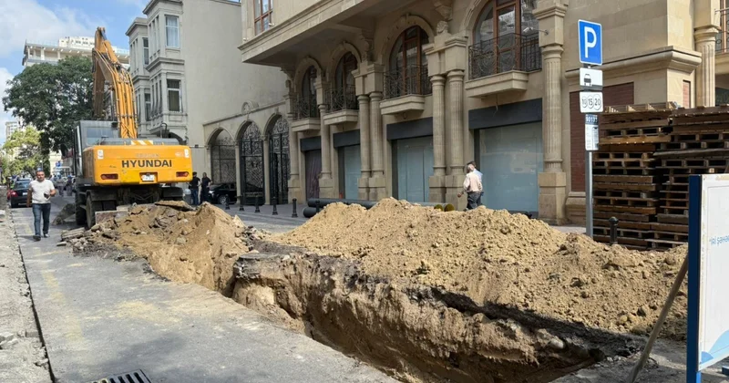Bu küçədə yeni yaşıllıq əraziləri salınır FOTOLAR