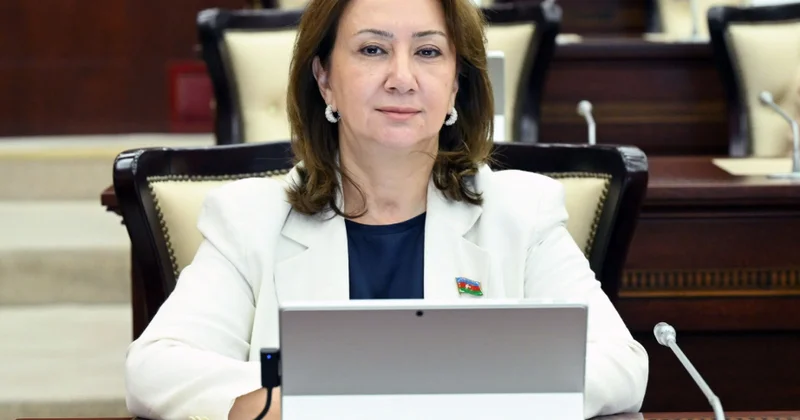 Minatəmizləmə fəaliyyəti zamanı həlak olan şəxslərin övladlarının təhsil haqqı dövlət tərəfindən ödəniləcək