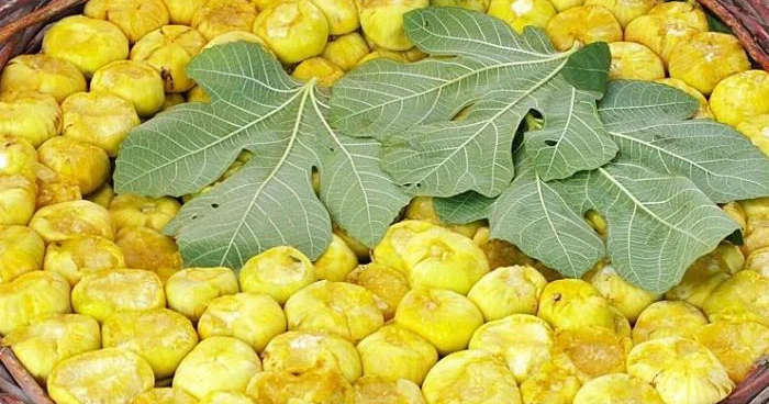 Əncirin sübut olunmuş 3 əsas faydası