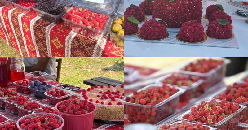 Göygöldə Moruq və Aqrar Biznes festivallarından FOTOLAR