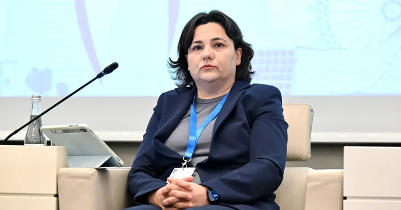 İlhamə Qədimova: İqlim dəyişikliklərinə həssas regionlarda erkən xəbərdarlıq sistemlərinin yaradılması nəzərdə tutulur