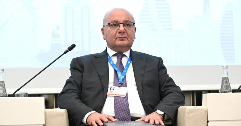 Председатель ANAMA: Минирование территорий это проблема, влияющая на безопасность экосистемы