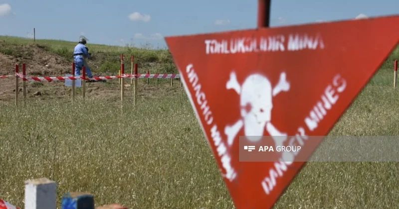 ANAMA sədri: Daşqınlar zamanı təmizlənmiş ərazilərin yenidən minalarla çirklənməsi halları olub