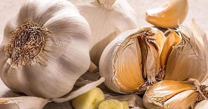 Sarımsağı aylarla təzə saxlamağın sadə üsulu Ev şəraitində belə edin