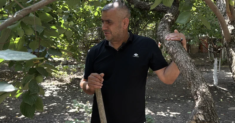 Xocavənd artıq dünənin həsrətini deyil, sabahın ümidini yaşadır