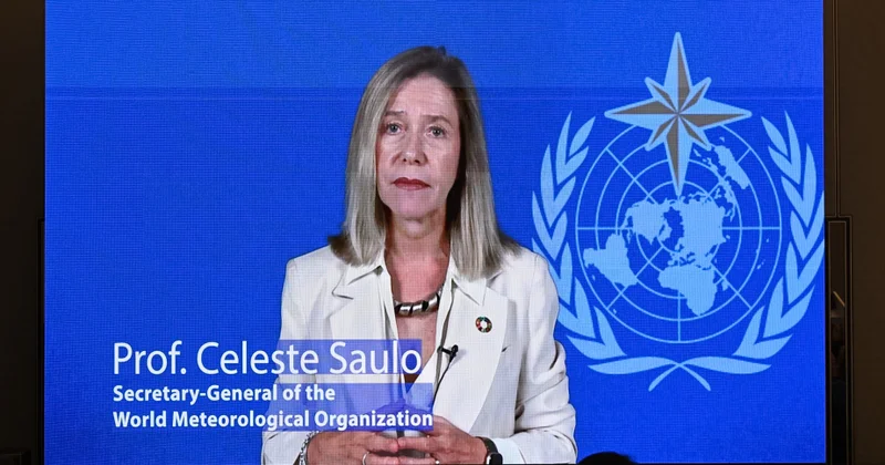Selesta Saulo: Çoxsaylı təhlükələrə qarşı erkən xəbərdarlıq sistemləri mühüm ictimai infrastrukturdur
