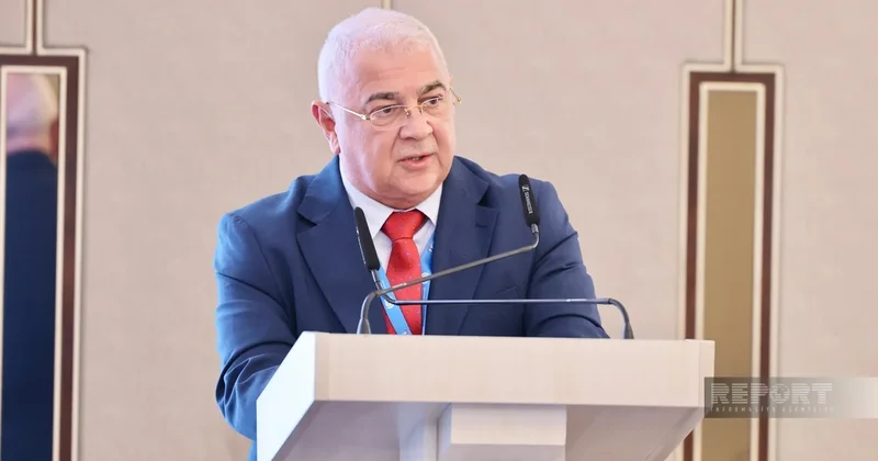 Рауф Гаджиев: Снижение уровня Каспия требует пересмотра планов с учетом климатических рисков