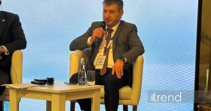 Азербайджан расширит практику обмена электронными разрешениями до конца года ABADA