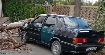 Külək ağacı avtomobilin üzərinə aşırdı VİDEO