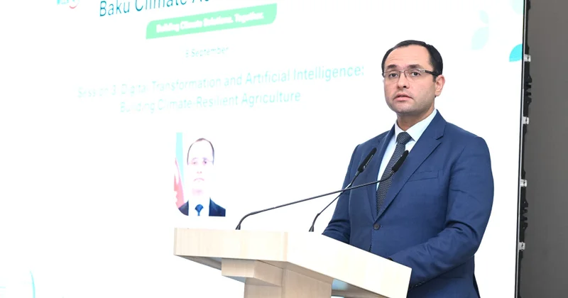 Məcnun Məmmədov: Proseslərin rəqəmsallaşdırılmasından kənd təsərrüfatı məlumatlarından intellektual istifadəyə keçirik