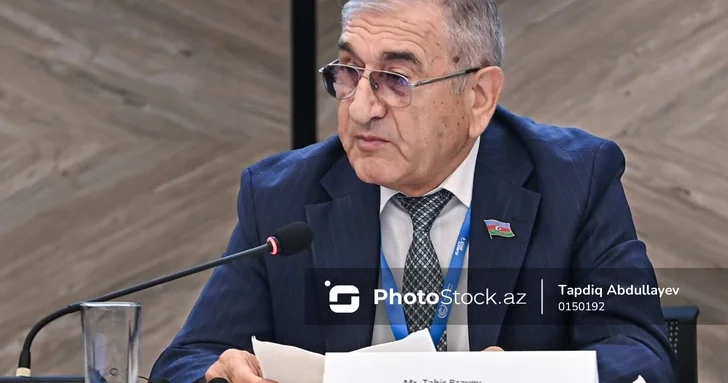 Таир Рзаев: Углеродный рынок пока недостаточно сформирован для долгосрочных прогнозов