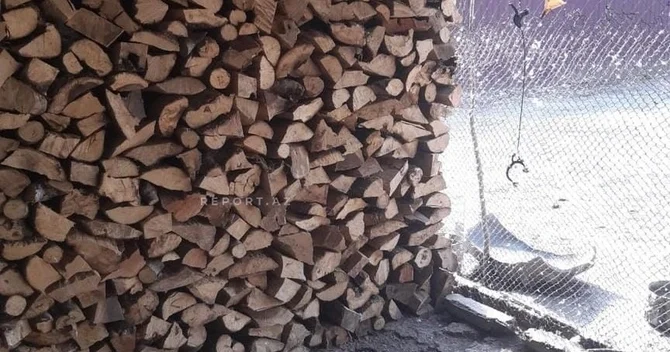 Cəlilabadın beş kəndinin sakinləri qaz probleminin həllini gözləyirlər