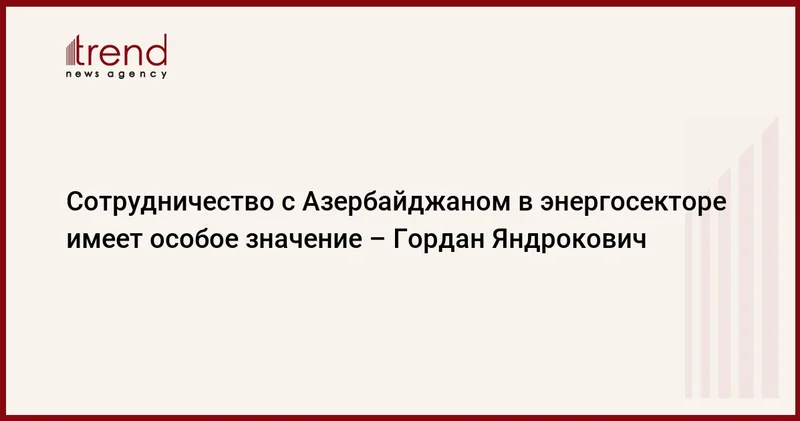 Сотрудничество с Азербайджаном в энергосекторе имеет особое значение Гордан Яндрокович