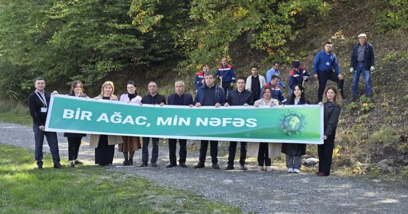 Qubada “Bir ağac min nəfəs” şüarı ilə 600 ting əkiləcək