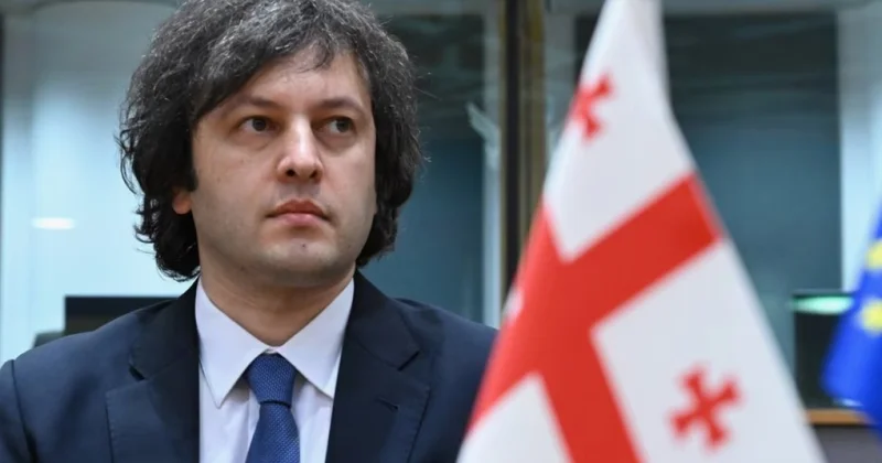 В Грузии заявления ЕС сравнили с пропагандой Геббельса