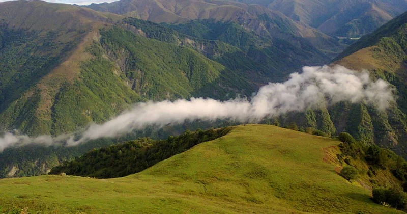 Azərbaycanın 3 bölgəsinə yad varlıqların hücumu Region təhlükədə