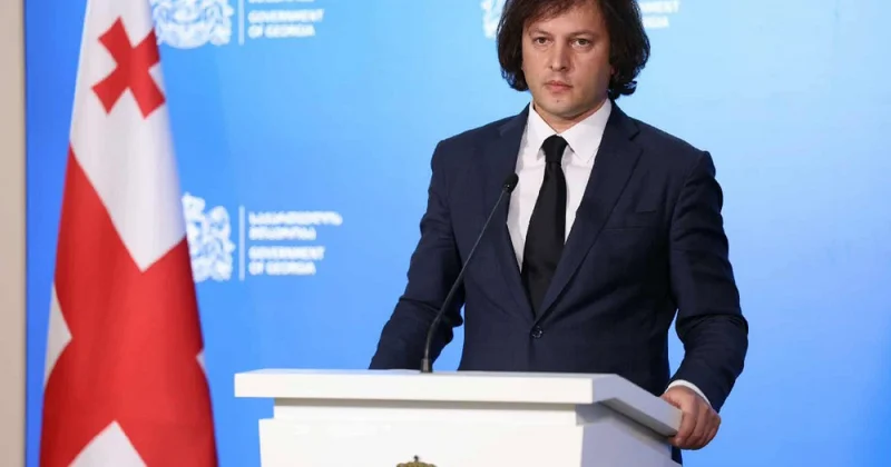 Kobaxidze Gürcüstanda çevriliş cəhdinin pislənilməməsini tənqid edib