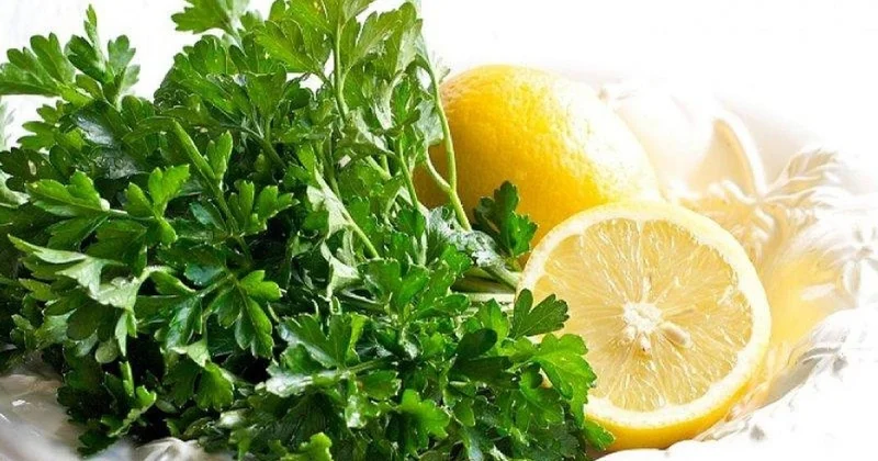 Qaraciyəri təmizləyən və fəaliyyətini gücləndirən qidalar