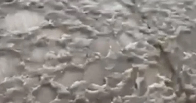Bu əraziyə qara qar yağdı