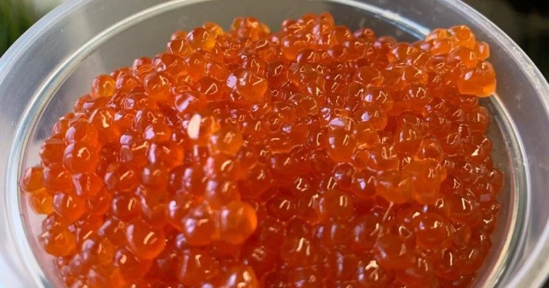 Qırmızı kürü satışları artacaq