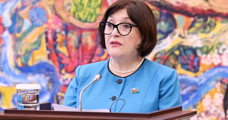 Xorvatiya ilə minatəmizləmə sahələrində əməkdaşlıq xüsusi əhəmiyyət daşıyır Sahibə Qafarova
