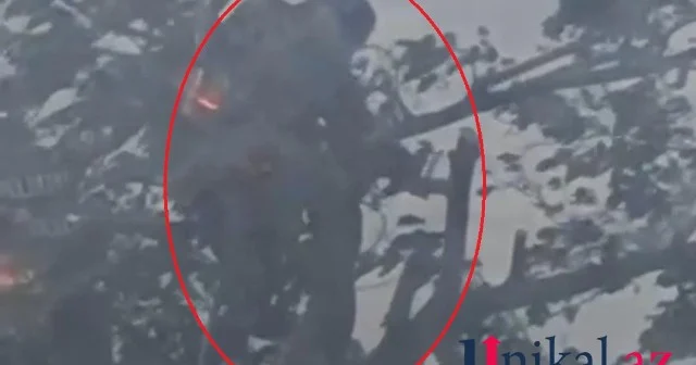 Maşın bazarında avtosalon sahibi ağac kəsdi Ona mane olmaq istəyən şəxsi yaraladı (VİDEO)
