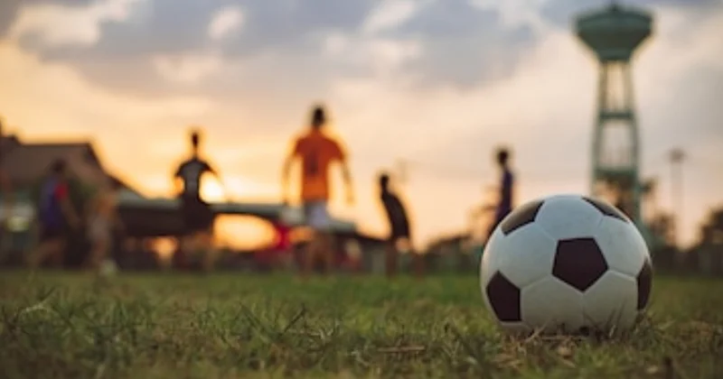 “Bu ayrılıq deyil, xəyanətdi” Azərbaycan klubundan 11 futbolçu getdi, prezident coşdu