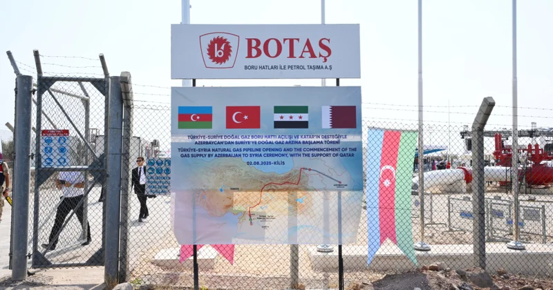 Qazı ən baha İtaliyaya, ən ucuz isə Gürcüstana satırıq