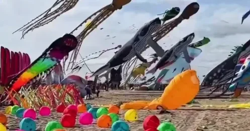 Так выглядит фестиваль воздушных змеев ВИДЕО
