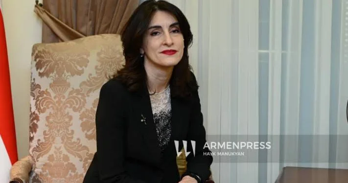 Gürcüstan ATƏT in rəhbərliyi uğrunda mübarizə aparır